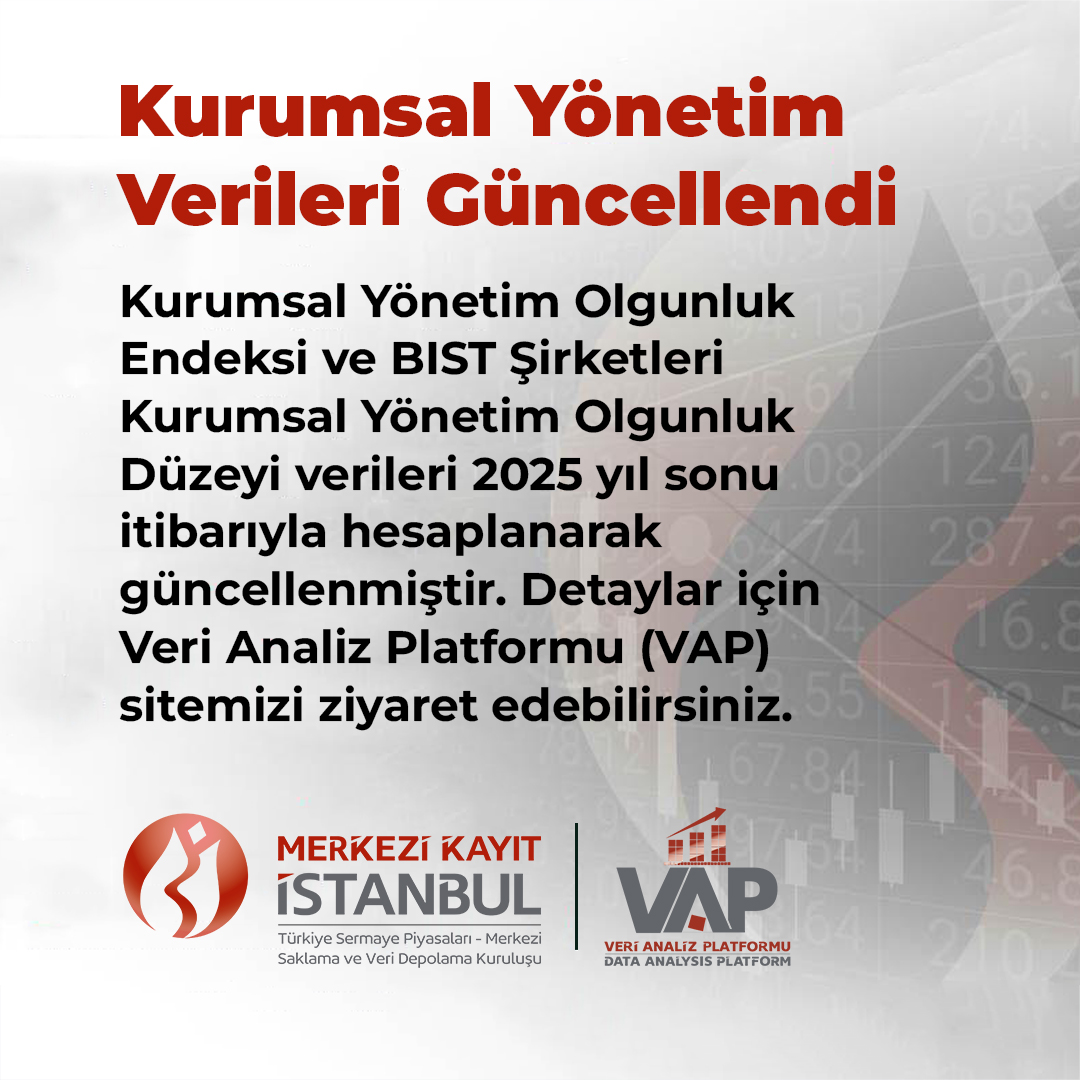kurumsal-yonetim-vap_2025_0.jpg